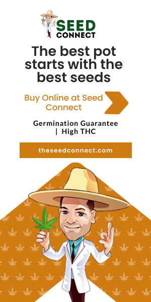 The best pot starts with the best seeds The best pot starts with the best seeds