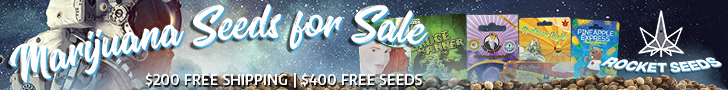 Rocket Seeds - MJ Seeds For Sale 728x90