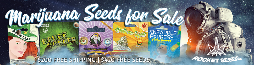 Rocket Seeds - Marijuana Seeds For Sale Space Man 970x250