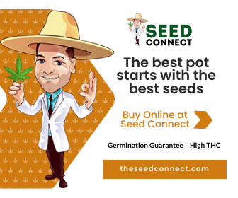 The best pot starts with the best seeds The best pot starts with the best seeds