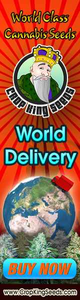Crop King Seeds (COM) - OLD STYLE World Class Cannabis Seeds 160x600 Crop King Seeds (COM) - OLD STYLE World Class Cannabis Seeds 160x600