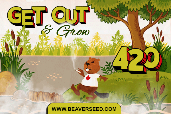 Beaver Seeds - 420 Get Out & Grow gif 1200x628 Beaver Seeds - 420 Get Out & Grow gif 1200x628
