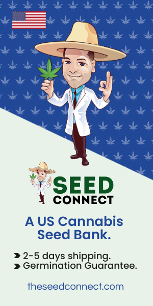 Seed Connect - US cannabis seed bank Seed Connect - US cannabis seed bank