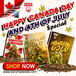 Sonoma Seeds - Canada Day and 4th of July Special gif 250x250