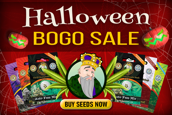 Cropking Seeds Halloween Sale (400x600)