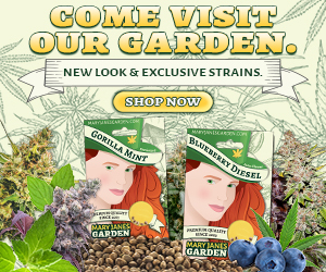 Mary Jane's Garden - Visit Our Garden 300x250