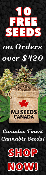 MJ Seeds Canada (COM) - 10 Free Seeds 160x600