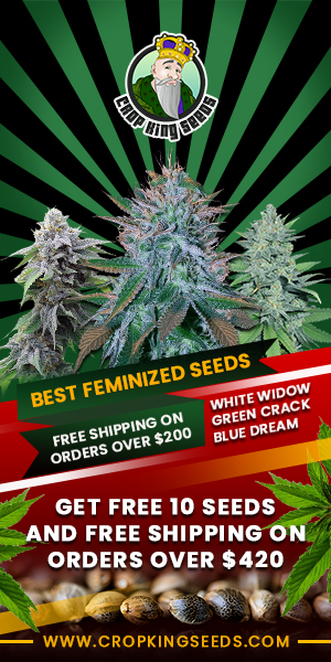 Crop King Seeds (COM) Best Feminized Seeds 300x600