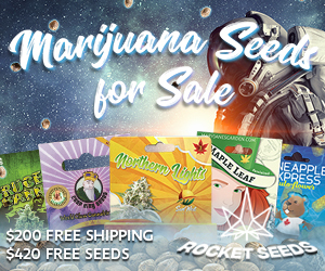 Rocket Seeds - MJ Seeds For Sale Space Man 300x250