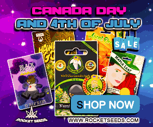 Rocket Seeds - Canada Day and 4th of July Shop Now gif 300x250