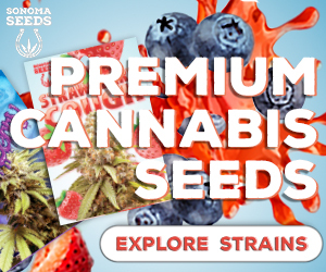 Sonoma Seeds - Premium Cannabis Seeds 300x250