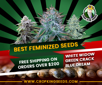 Crop King Seeds(COM) - Best Feminized Seeds 300x280