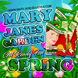 Mary Jane's Garden - Get Ready For Spring 250x250