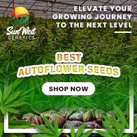 Best Autoflower Seeds Sunwest Genetics (200x200)