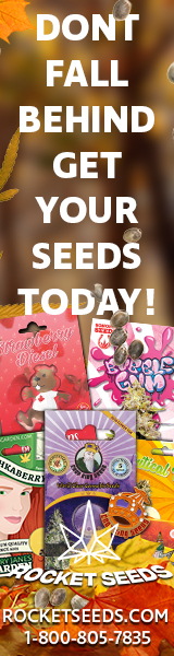 Rocket Seeds - Don't Fall Behind Get Your Seeds Today 160x600