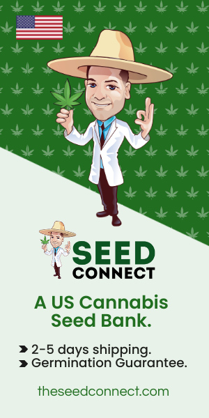 Seed Connect - US cannabis seed bank