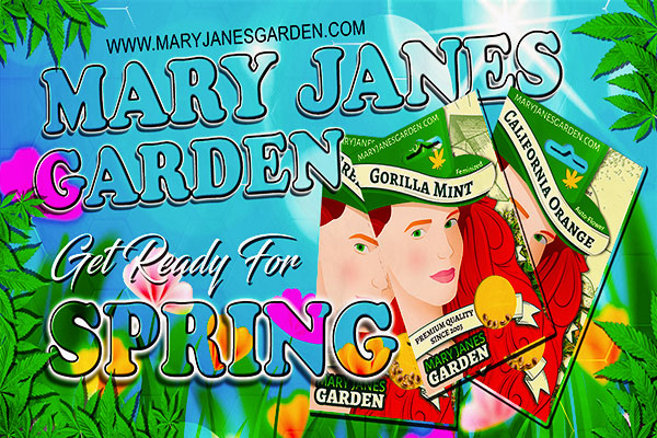 Mary Jane's Garden - Get Ready For Spring Facebook Banner 1200x628