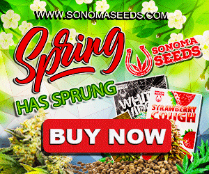 Sonoma Seeds - Spring Has Sprung 300x250