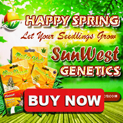 Sun West Genetics - Let Your Seedlings Grow 250x250