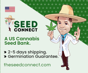 Seed Connect - US cannabis seed bank