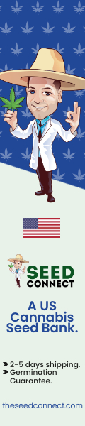 Seed Connect - US cannabis seed bank