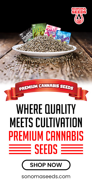 Premium Cannabis Seeds Advertisement