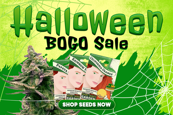 Mary Janes Garden Halloween Sale (400x600)