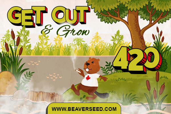 Beaver Seeds - 420 Get Out & Grow gif 1200x628