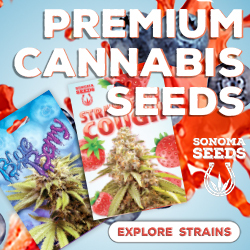 Sonoma Seeds - Premium Cannabis Seeds 250x250