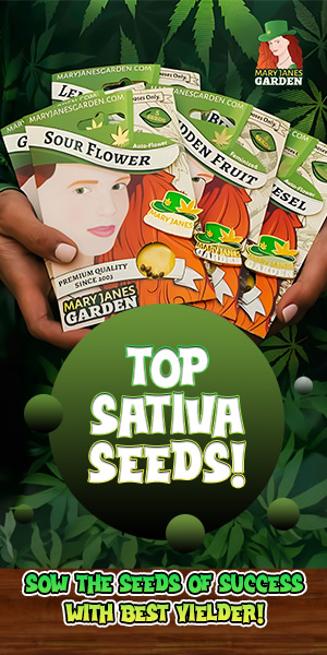 Maryjane's Garden Top Sativa Seeds (320x600)