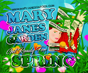 Mary Jane's Garden - Get Ready For Spring 300x250