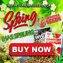 Sonoma Seeds - Spring Has Sprung 250x250