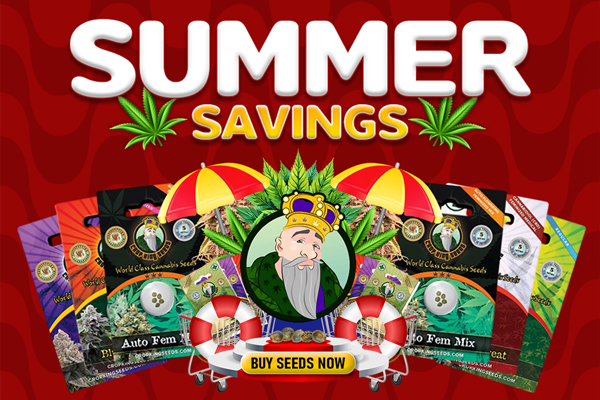 Summer Sale