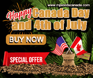 MJSC (COM) - Canada Day and 4th of July Special 300x250