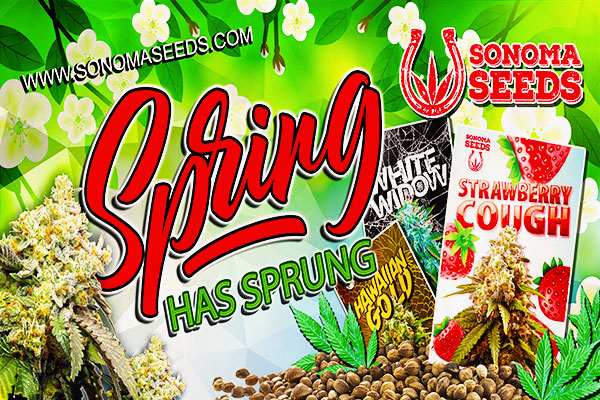 Sonoma Seeds - Spring Has Sprung Facebook Banner 1200x628