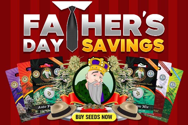 Father's Day Savings