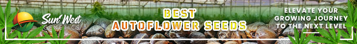 Best Autoflower Seeds Sun West Genetics (728 x 90)
