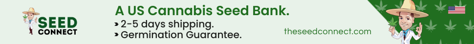 Seed Connect - US cannabis seed bank
