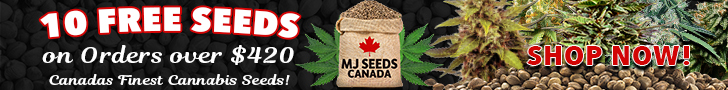 MJ Seeds Canada (COM) - 10 Free Seeds 728x90
